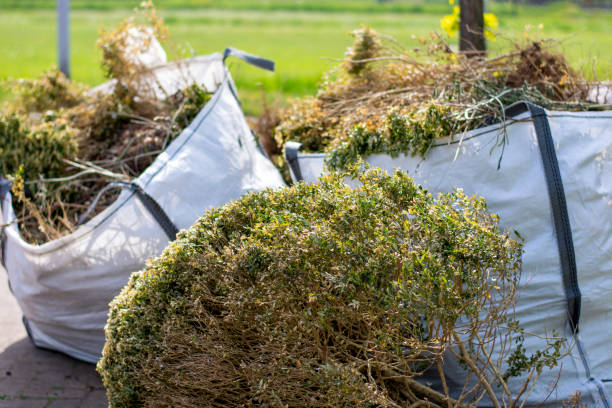 Best Shed Removal  in Westwood Shores, TX